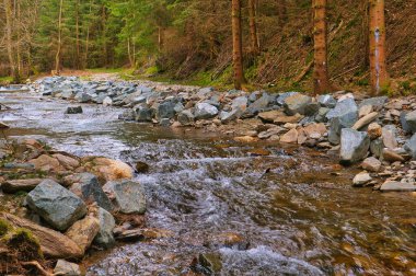 Thüringen Ormanı 'ndan geçen taşlı bir nehir.
