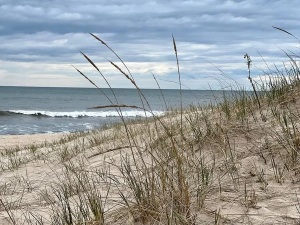 Green Yellow Grass Growing Sand Dunes Ocean Background — Stock Photo, Image