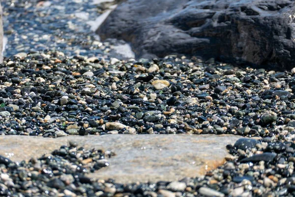 Eine Nahaufnahme Von Kieseln Und Steinen Ufer Umgeben Vom Meer — Stockfoto