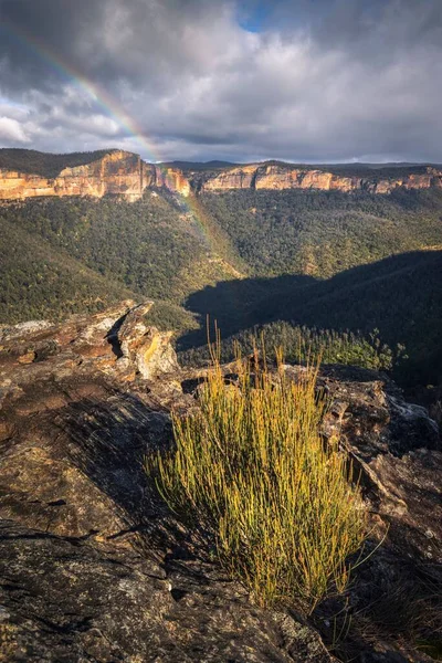 Licht Und Regenbogen Frühen Morgen Den Blue Mountains Von Nsw — Stockfoto