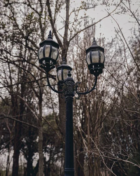 庭の価値のある砦の街路灯のショット — ストック写真