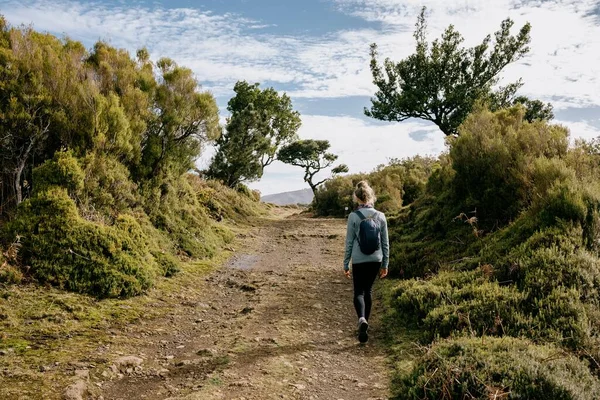 Una Mujer Joven Caminando Bosque Fanal Lleno Hermosos Árboles Isla —  Fotos de Stock