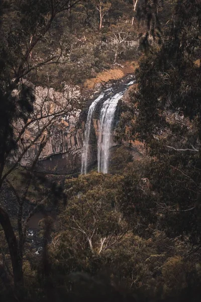 Ebor瀑布瀑布位于澳大利亚新南威尔士州瀑布 — 图库照片