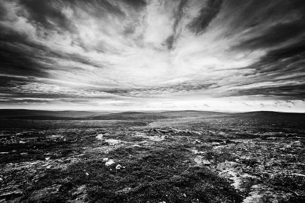 Graustufenaufnahme Einer Landschaft Unter Wolkenverhangenem Himmel — Stockfoto