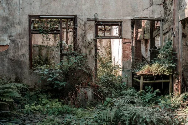 Una Antigua Casa Pueblo Abandonada Bosque — Foto de Stock