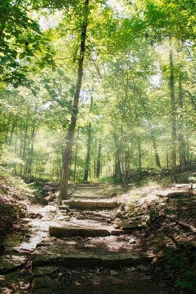 Een Verticaal Shot Van Stenige Trap Tussen Groene Bomen Groeiend — Stockfoto