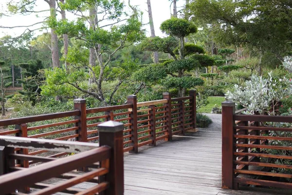 Puente Madera Jardín Japonés Con Árboles Bonsái Alrededor — Foto de Stock