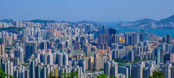 Een Vogelperspectief Van Groene Heuvels Tegen Wolkenkrabbers Van Hing Kong — Stockfoto
