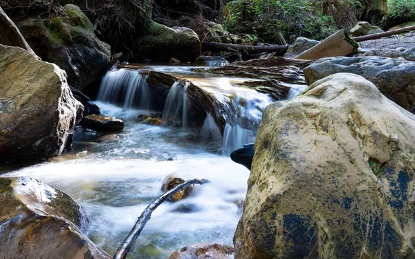 Tiro Perto Rio Que Flui Pela Floresta — Fotografia de Stock