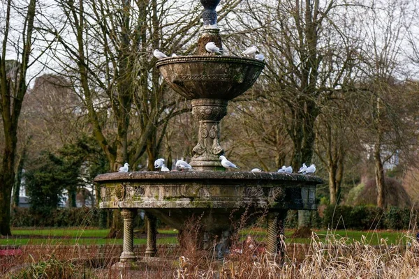 Father Matthew Memorial Fountain Fitzgerald Park Cork City Irlanda — Foto Stock