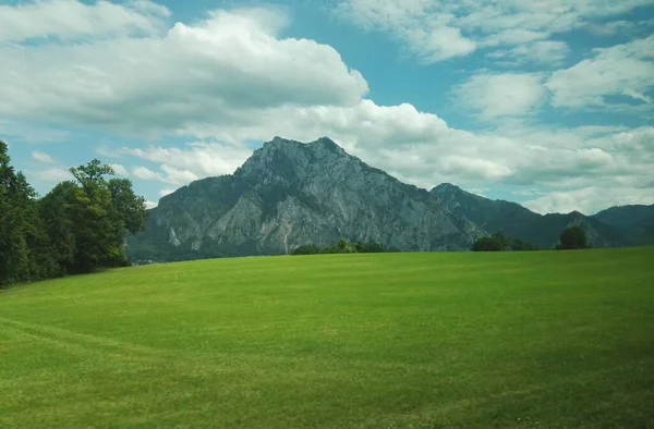 Campo Selvagem Verde Com Fundo Montanha — Fotografia de Stock