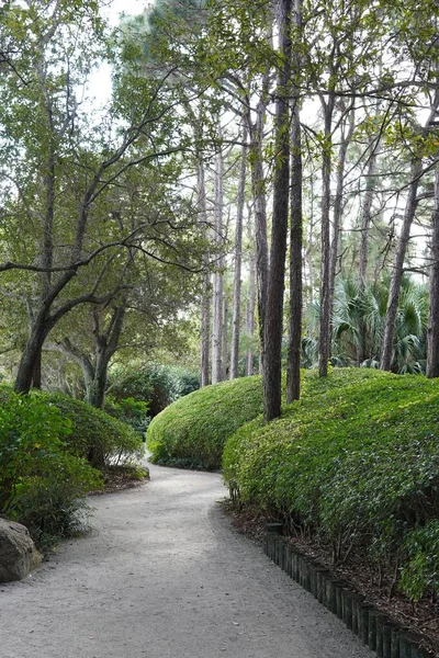 Jardim Zen Com Arbustos — Fotografia de Stock