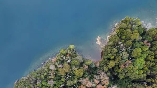 海による森の空中トップビュー 自然背景 — ストック写真