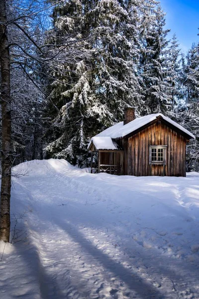 冬の雪に覆われた木造の小屋 — ストック写真
