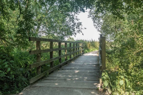 Nantwich Lakeside Loop Floresta Ponte Dia Ensolarado Paisagem Cheshire — Fotografia de Stock