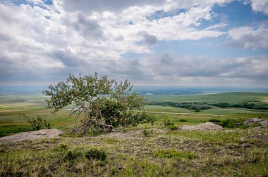 Güney Alberta Kanada 'daki Kafası Ezilmiş Bufalo Dünya Mirası Alanında Görüntüler.