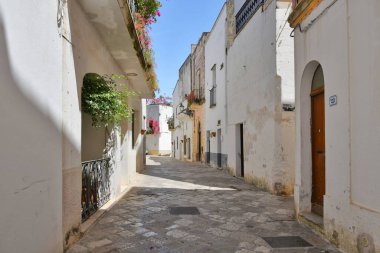 A street in the historic center of Specchia, a medieval town in the Puglia region, Italy.