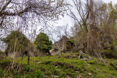 ormanda eski bir binanın kalıntıları