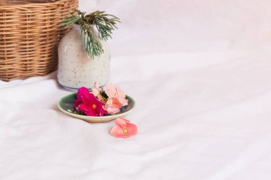 Parlak ve havadar minimalist İlkbahar temalı arka plan