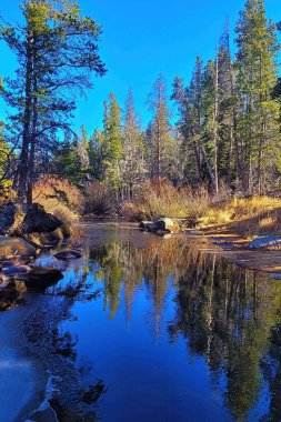 Ormanın ve nehirdeki kayaların yansıması.