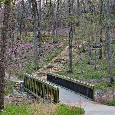 Ernie Miller Doğa Merkezi 'nde merdivenleri olan bir orman, Olathe