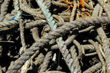 İspanya 'nın Kanarya Adaları' ndaki bir rıhtımda donanma halatı