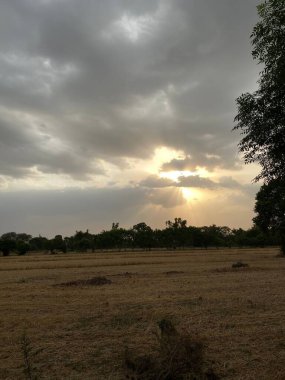 Bulutlu bir günde ağaçlarla çevrili boş bir alanın dikey görüntüsü.
