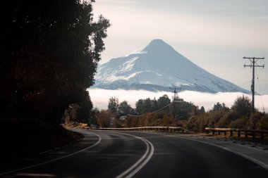 Gün batımında ağaçlı bir yoldan güzel bir dağ manzarası.
