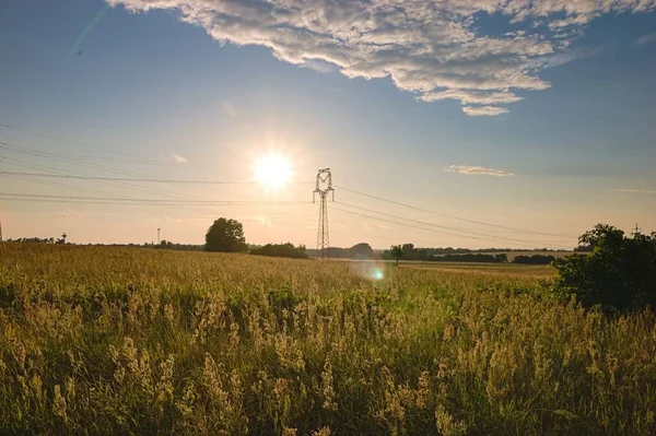 Una Vista Hermoso Prado Con Campos Árboles Fondo Bajo Cielo — Foto de Stock