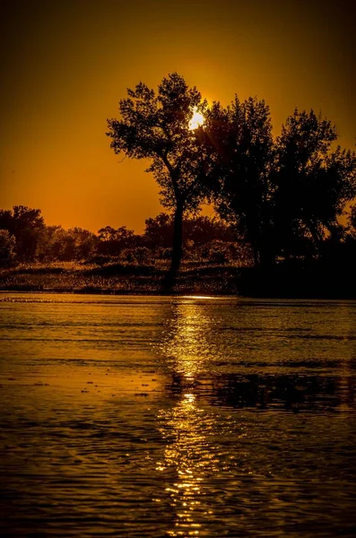 Eine Vertikale Aufnahme Des Missouri River Bei Sonnenaufgang Mit Baumsilhouetten — Stockfoto