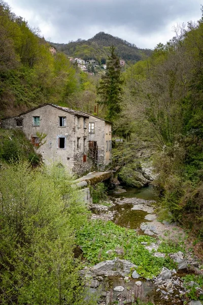 Une Vieille Maison Abandonnée Dans Forêt — Photo