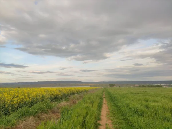 Campo Durante Primavera Com Montanhas Fundo Céu Azul Conceito Ambiente — Fotografia de Stock