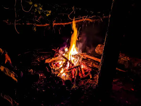 夜の森の中の燃えさかるキャンプファイヤー — ストック写真