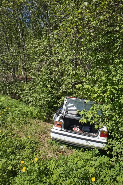 Carro Abandonado Floresta Beira Sol Após Acidente — Fotografia de Stock