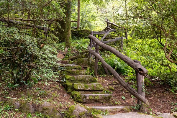 Old Mossy Stairs Park Italy Lago Maggiore — Stock Photo, Image