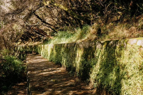 Lesní Stezka Horách Ostrova Madeira Portugalsko — Stock fotografie
