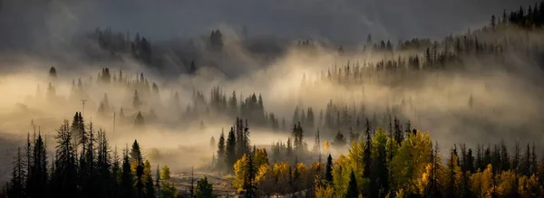 Uma Vista Panorâmica Florestas Montanha Coloridas Escuras Parcialmente Cobertas Nevoeiro — Fotografia de Stock
