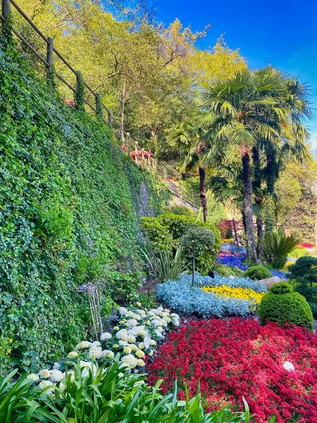 Vertikální Záběr Krásné Zahrady Slunečného Dne — Stock fotografie