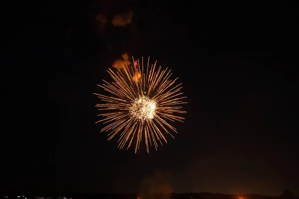 Ein Buntes Feuerwerk Der Nacht — Stockfoto