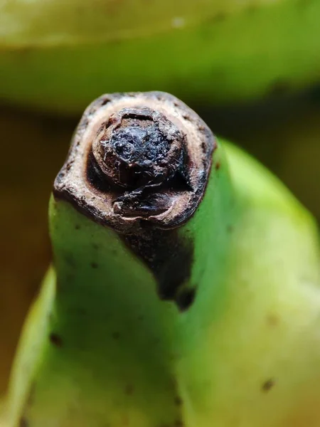 Close Vertical Uma Borda Banana Verde — Fotografia de Stock