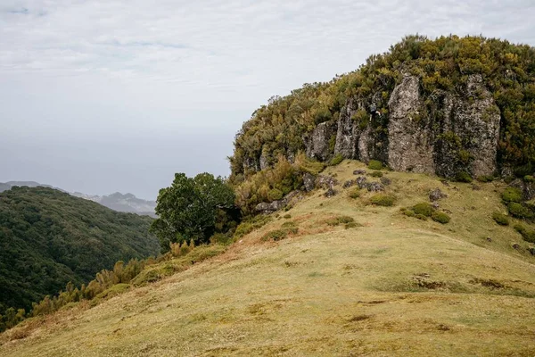 Valle Herboso Madeira Portugal — Foto de Stock