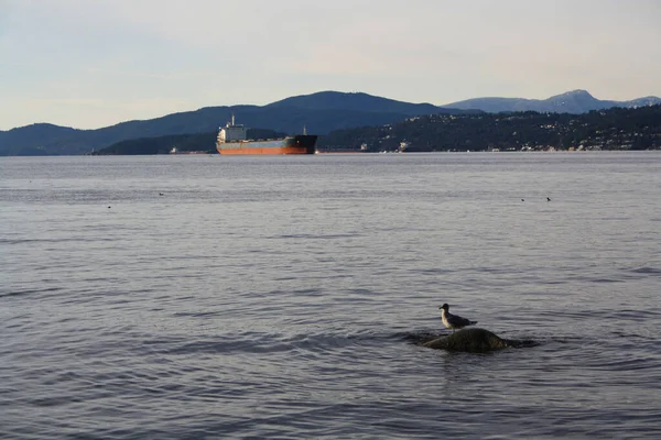 Vancouver British Columbia Kanada Bir Kargo Gemisiyle Bir Kayanın Üzerinde — Stok fotoğraf