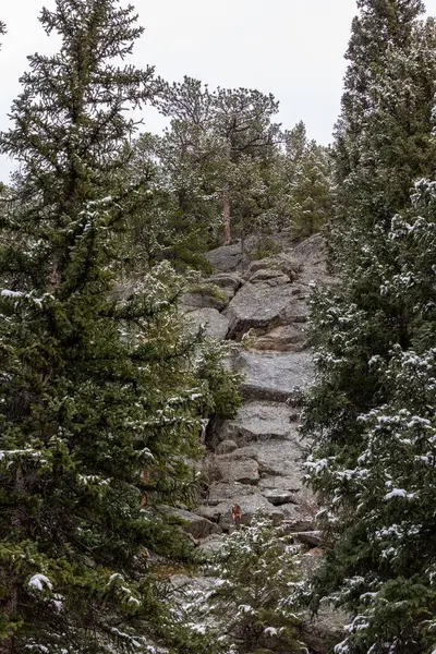 Las Montañas Rocosas Durante Invierno Cerca Raymond Colorado — Foto de Stock