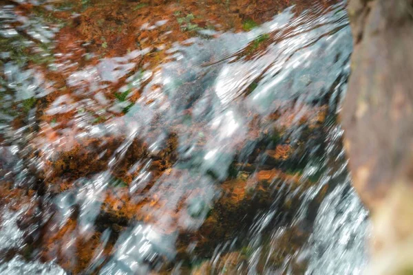 Чистая Вода Течет Скалам Лесу — стоковое фото