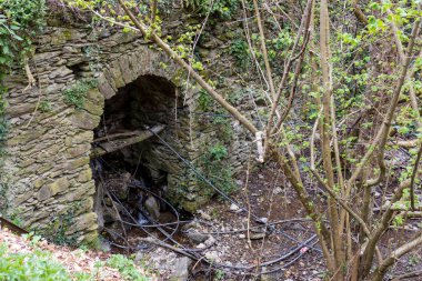Doğadaki küçük bir kemerin görüntüsü