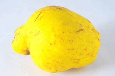 Beyaz bir arka planda çok olgun sağlıklı sedir