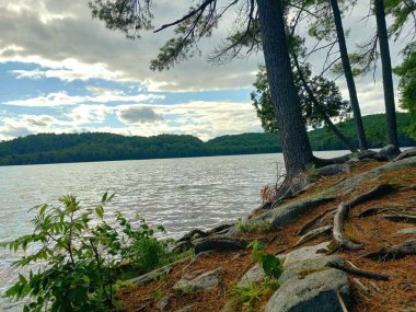 Güzel bir göl manzarası