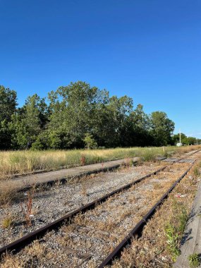 Ormanın yakınında terk edilmiş eski paslı bir demiryolunun dikey görüntüsü.