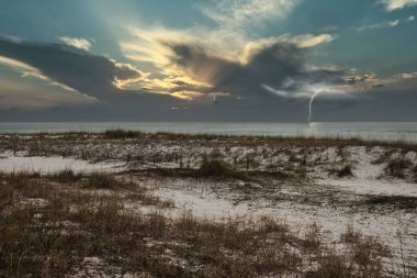 Kumlu bir sahilde gün batımında yıldırımlı bir denize karşı büyüyen bitkilerin manzarası.