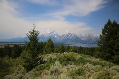 Bir tarlada büyüyen yeşil ağaçların manzarası bir göl ve karla kaplı kayalık dağların manzarası.